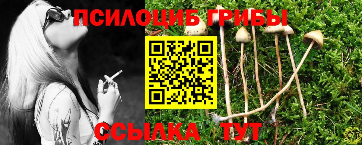 Галлюциногенные грибы Psilocybine cubensis Можга
